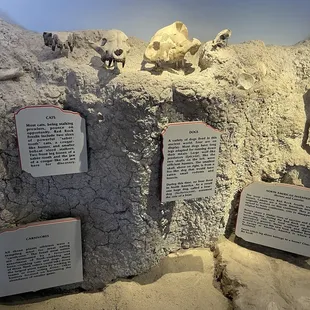 Red Rock Canyon Tate Park, CA - Museum