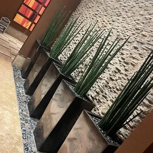 Pretty!! Outside sports book 10/15/2023