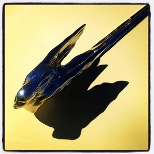 Car Show at Red Rock Country Club Concourse.