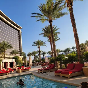 people swimming in the pool