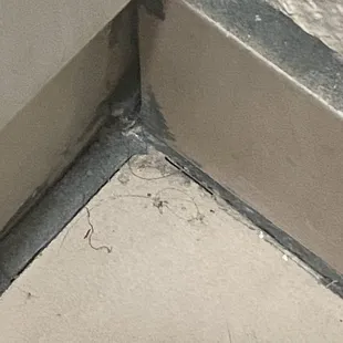 Pubic hair in bathroom next to shower.