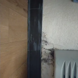 Mold under our air unit after we sprayed it down with our own bleach.