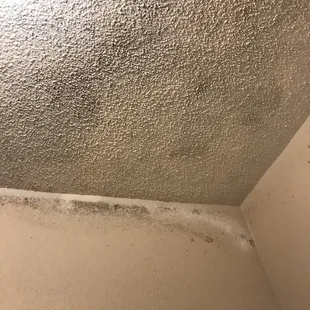 Mold