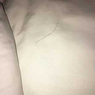 Pubic hair in the bed.