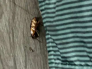 La Quinta Inn by Wyndham Norfolk Virginia Beach