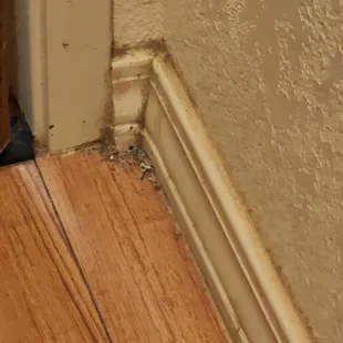 Filthy dirt and/or mold