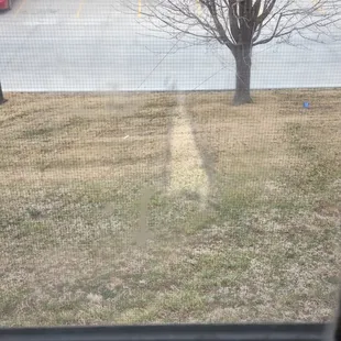 Ripped window screen