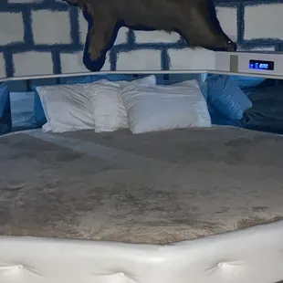 No lights at all in the bedroom! Probably a really good reason for that.