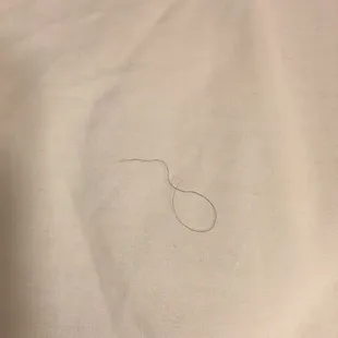 Pubic hair in my sheets