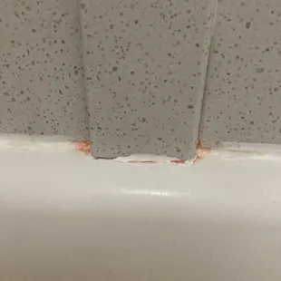 Mold/ Serratia marcescens on the shower....