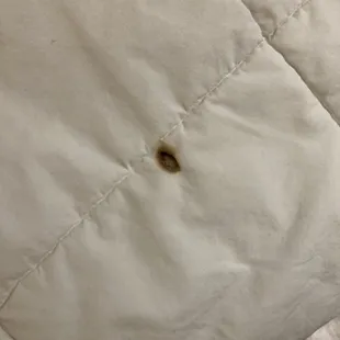 Close up. Again, ain't being charged for this... AINT MINE