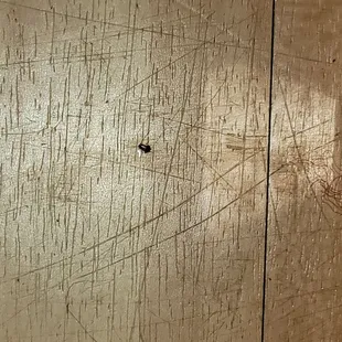Roach is room next to bed.