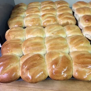 Homemade rolls. Melt in your mouth.