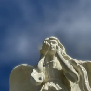 Sally is perfect! Author, expert and entertaining!