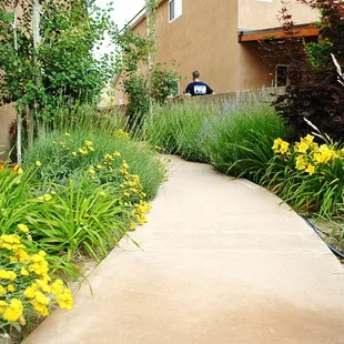 Perenial Garden Paths