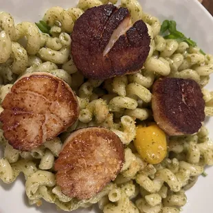 Pasta with Scallops
