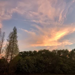 Sunset views