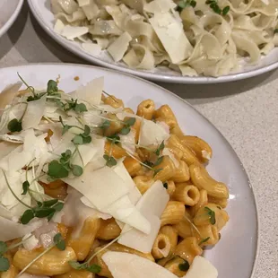 Rigatoni with Rosa sauce, microgreens and Parmesan