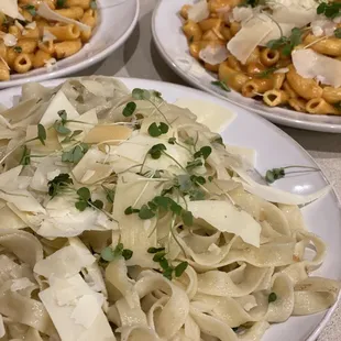 Fettuccine with Alfredo, microgreens and Parmesan