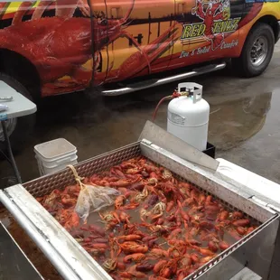 Red Tailz Crawfish