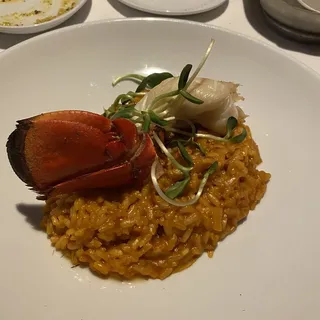 Lobster Risotto