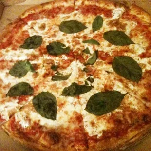 Margarita Pizza (increased exposure)