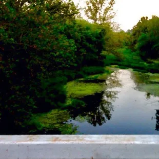 Bridge nearby stream to the cabins