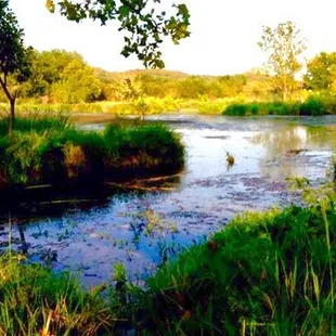 Another view from a different year of the stream back of the cabins