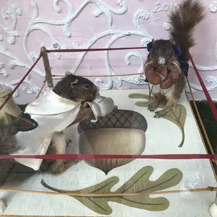 This place is way too dark souled for me. However, I did enjoy the boxing squirrels. "My nut!" "No it's mu nut!"