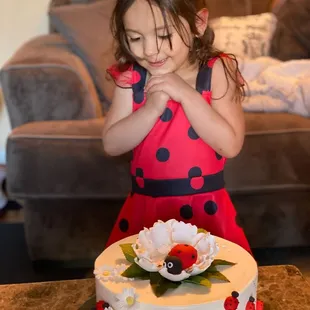 Chocolate Lady Bug Cake