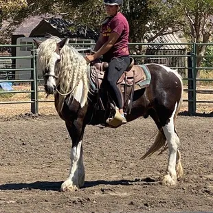 Our Gypsy in training...