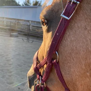 the wisdom of Legend!