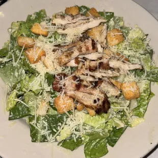 Chicken Caesar Salad