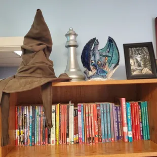 Dragons, chess, sorting hats, and cats!