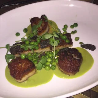 DAY BOAT SCALLOPS