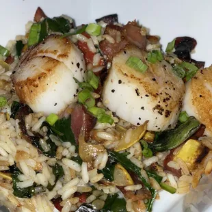 Grilled scallops