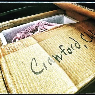 I never dreamt that I would have to collect my 22 year old daughter in a cardboard box.