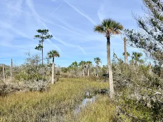 Castaway Island Preserve