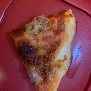 The pizza we ordered.