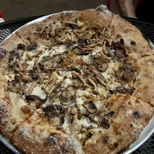 Mushroom Pizza