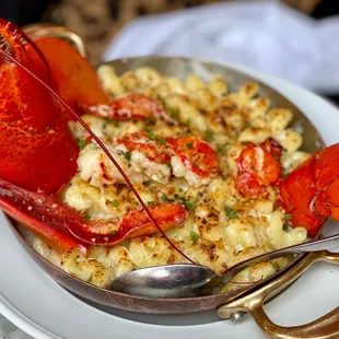 a lobster and macaroni dish