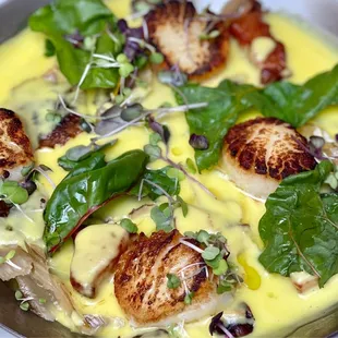 Seared scallops