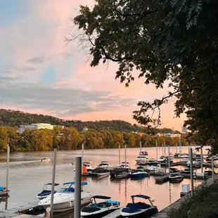boats docked at a dock