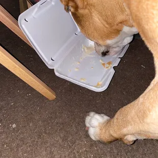 Gave it to my dog , this place is a waste of money