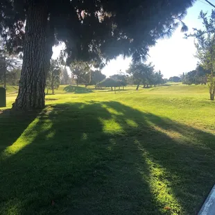 Golf course