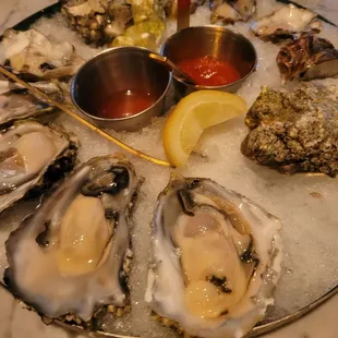mussels, oysters, shellfish, food, oysters and mussels