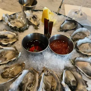 Dozen oysters