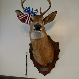 Nothing says 'merica like a american flag bow on a mounted deer