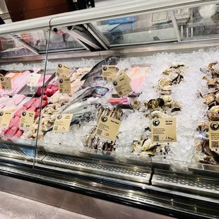 Fresh seafood front