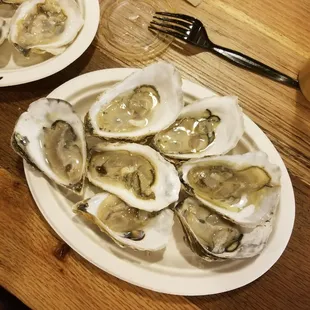 New England Clam Chowda